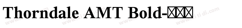 Thorndale AMT Bold字体转换
